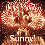 An animated birthday card featuring a red present under a sky filled with exploding gold fireworks, personalized for Sunny.
