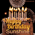 Chocolate Happy Birthday Cake for Sunshine (GIF)