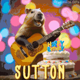 Animated birthday GIF showing a capybara playing guitar and singing beside a birthday cake with the name Sutton in large letters and colorful bokeh lights in the background.