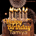 Chocolate Happy Birthday Cake for Tamiya (GIF)