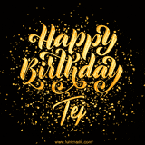 Animated GIF with colorful, festive 'Happy Birthday Tej' text decorated with patterns, a party hat, and falling confetti. A vibrant and cheerful design for birthday celebrations.