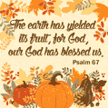 A Psalm of 67 Thanksgiving: The earth has yielded its fruit, for God, our God has blessed us