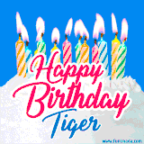 A cheerful animated GIF featuring colorful lit birthday candles on a white cake, with the text 'Happy Birthday Tiger' in bold red and blue script on a bright blue background.