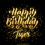 Animated GIF with colorful, festive 'Happy Birthday Tiger' text decorated with patterns, a party hat, and falling confetti. A vibrant and cheerful design for birthday celebrations.