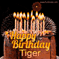 A rich chocolate cake topped with glowing birthday candles and surrounded by bright fireworks. The animated GIF displays the message 'Happy Birthday Tiger' in golden text.