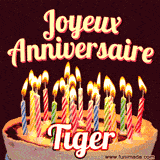 A Happy Birthday GIF in French featuring a festive birthday cake adorned with bright candles and the glowing text 'Joyeux Anniversaire Tiger' in a cheerful style.