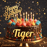 A customized birthday greeting card for Tiger showing a chocolate frosted cake under falling gold dust.