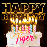 A vibrant animated GIF featuring a delicious birthday cake topped with glowing candles and the name 'Tiger' in elegant script, and the words 'Happy Birthday' on the black background.
