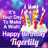 A colorful birthday GIF for Tigerlily featuring a cupcake with vibrant lit candles and the text 'It's Your Day to Make a Wish! Happy Birthday Tigerlily' in bold letters on a festive purple background.