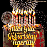 A chocolate birthday cake with glowing candles, the German text 'Alles Gute zum Geburtstag Tigerlily,' and vibrant fireworks lighting up the background in an animated GIF.