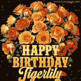 Animated bouquet of orange roses with moving butterfles and golden 'Happy Birthday Tigerlily' text, surrounded by sparkling accents and a dark backdrop for a luxurious feel.