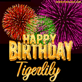 A golden 'Happy Birthday Tigerlily' message with vibrant fireworks in the background, creating a festive and celebratory vibe in this animated name GIF.