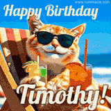 A cheerful cat wearing sunglasses, enjoying drinks on a sunny beach chair, with the text 'Happy Birthday Timothy!' in bright letters.