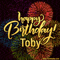 Happy Birthday, Toby! Celebrate with joy, colorful fireworks, and unforgettable moments.
