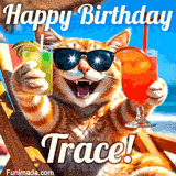 A cheerful cat wearing sunglasses, enjoying drinks on a sunny beach chair, with the text 'Happy Birthday Trace!' in bright letters.