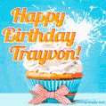 Happy Birthday, Trayvon! Elegant cupcake with a sparkler.