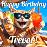 A cheerful cat wearing sunglasses, enjoying drinks on a sunny beach chair, with the text 'Happy Birthday Trevor!' in bright letters.