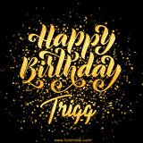 Animated GIF with colorful, festive 'Happy Birthday Trigg' text decorated with patterns, a party hat, and falling confetti. A vibrant and cheerful design for birthday celebrations.