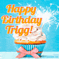 A cheerful animated GIF of a cupcake with creamy frosting, a red checkered ribbon, and a bright sparkler on top. The text 'Happy Birthday Trigg!' is displayed in vibrant orange and red.