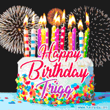 A lively happy birthday animated GIF showcasing a colorful birthday cake covered in sprinkles, topped with glowing candles, and surrounded by vibrant fireworks. The name 'Trigg' is featured in elegant script.