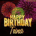 Wishing You A Happy Birthday, Trina! Best fireworks GIF animated greeting card.