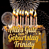 A chocolate birthday cake with glowing candles, the German text 'Alles Gute zum Geburtstag Trinidy,' and vibrant fireworks lighting up the background in an animated GIF.