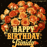 Animated bouquet of orange roses with moving butterfles and golden 'Happy Birthday Trinidy' text, surrounded by sparkling accents and a dark backdrop for a luxurious feel.