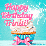 A festive cupcake with pink icing, a gingham bow, and a lit animated sparkler, paired with 'Happy Birthday Triniti!' in bright pink text.