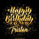 Animated GIF with colorful, festive 'Happy Birthday Triston' text decorated with patterns, a party hat, and falling confetti. A vibrant and cheerful design for birthday celebrations.