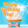 Happy Birthday, Troy! Elegant cupcake with a sparkler.