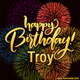 A vibrant display of multicolor fireworks with the text 'Happy Birthday Troy' written in gold, glowing beautifully in front of the explosive background.