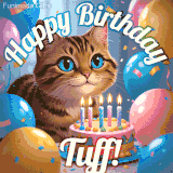 A playful tabby cat sits behind a colorful birthday cake surrounded by balloons and confetti, with 'Happy Birthday Tuff!' written above in festive letters.