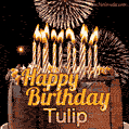 Chocolate Happy Birthday Cake for Tulip (GIF)