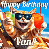 A cheerful cat wearing sunglasses, enjoying drinks on a sunny beach chair, with the text 'Happy Birthday Van!' in bright letters.