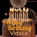 Chocolate Happy Birthday Cake for Vidalia (GIF)