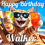 A cheerful cat wearing sunglasses, enjoying drinks on a sunny beach chair, with the text 'Happy Birthday Walker!' in bright letters.
