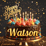 Multicolored frosting swirls and burning birthday candles on a chocolate cake with gold lettering spelling Watson.