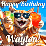A cheerful cat wearing sunglasses, enjoying drinks on a sunny beach chair, with the text 'Happy Birthday Waylon!' in bright letters.