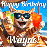 A cheerful cat wearing sunglasses, enjoying drinks on a sunny beach chair, with the text 'Happy Birthday Wayne!' in bright letters.