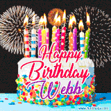 A lively happy birthday animated GIF showcasing a colorful birthday cake covered in sprinkles, topped with glowing candles, and surrounded by vibrant fireworks. The name 'Webb' is featured in elegant script.