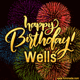 A vibrant display of multicolor fireworks with the text 'Happy Birthday Wells' written in gold, glowing beautifully in front of the explosive background.