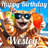 A cheerful cat wearing sunglasses, enjoying drinks on a sunny beach chair, with the text 'Happy Birthday Wesley!' in bright letters.