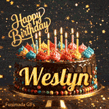 Gourmet chocolate cake on a pedestal with glowing candles and colorful whipped frosting, custom-made for Weslyn.