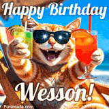 A cheerful cat wearing sunglasses, enjoying drinks on a sunny beach chair, with the text 'Happy Birthday Wesson!' in bright letters.