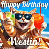 A cheerful cat wearing sunglasses, enjoying drinks on a sunny beach chair, with the text 'Happy Birthday Westin!' in bright letters.