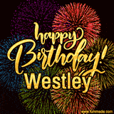 A vibrant display of multicolor fireworks with the text 'Happy Birthday Westley' written in gold, glowing beautifully in front of the explosive background.