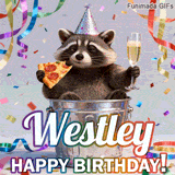 A humorous and festive Birthday GIF for Westley. The raccoon enjoys a feast in a bin, adding a touch of comedy to the special wish with vibrant decorations.