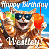 A cheerful cat wearing sunglasses, enjoying drinks on a sunny beach chair, with the text 'Happy Birthday Westley!' in bright letters.