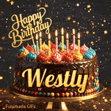 Golden lettering spelling Westly on a rich chocolate birthday cake decorated with rainbow sprinkles.