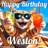 A cheerful cat wearing sunglasses, enjoying drinks on a sunny beach chair, with the text 'Happy Birthday Weston!' in bright letters.